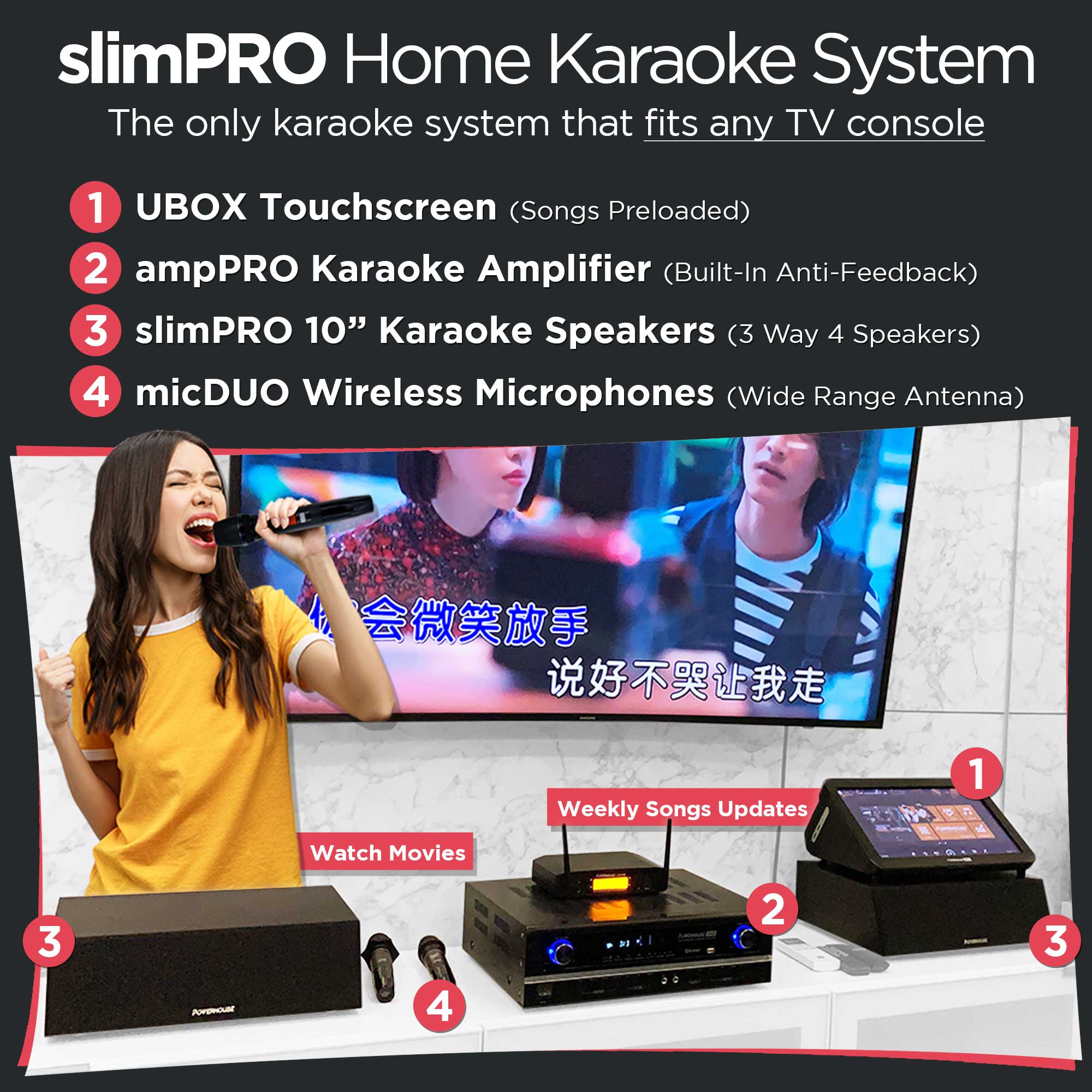 Powerhouse slimPRO Home Karaoke System Powerhouse slimPRO Home Karaoke System