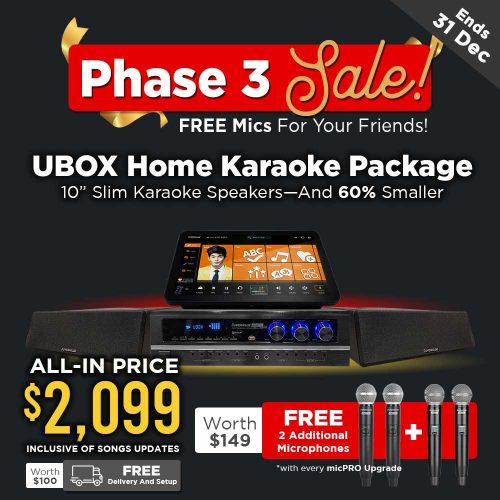 Karaoke System Packages Powerhouse Home Karaoke