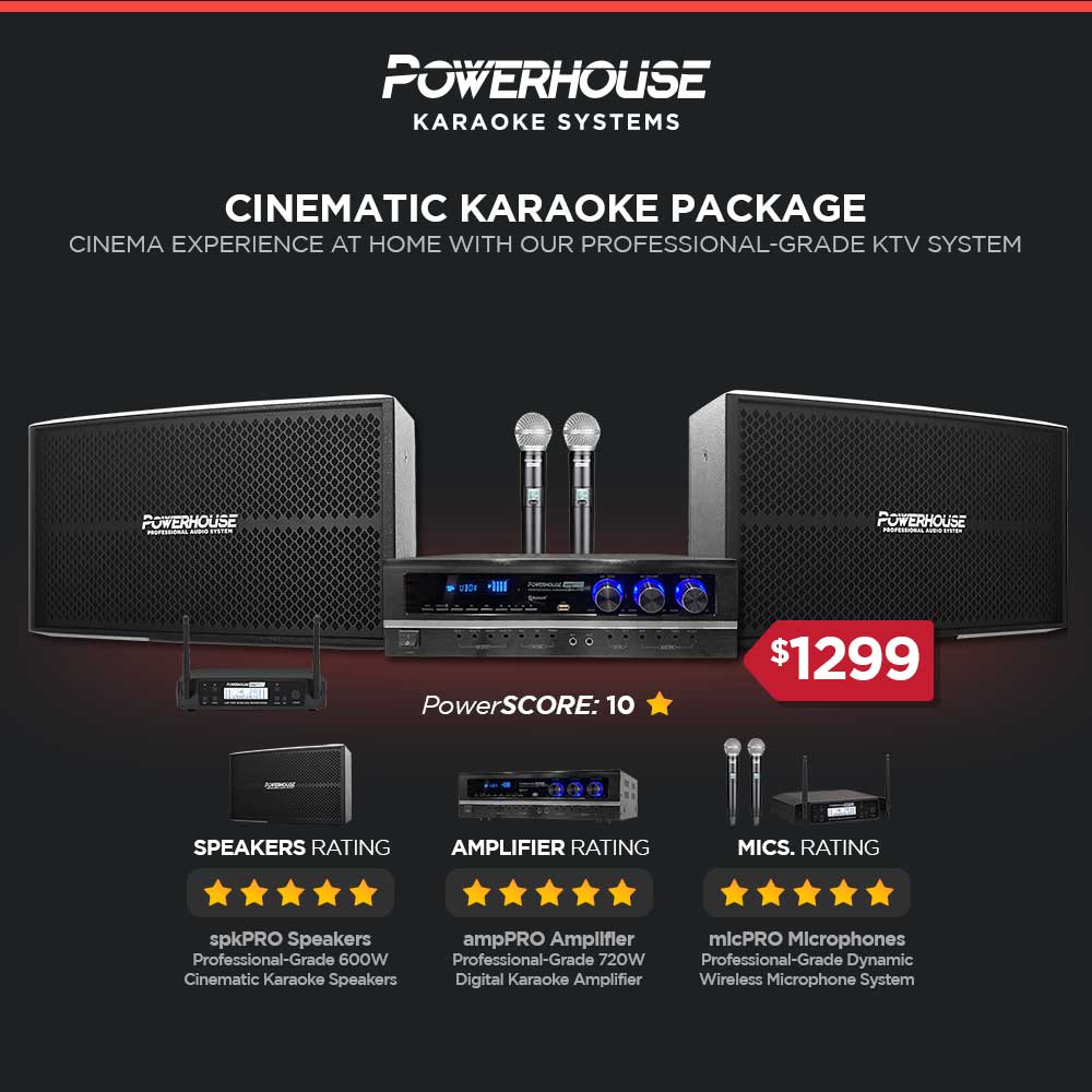 Slim Home Karaoke System Powerhouse Home Karaoke