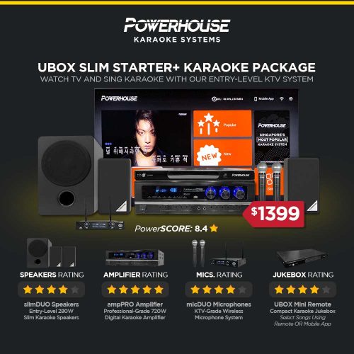 Affordable Karaoke System - Powerhouse Home Karaoke